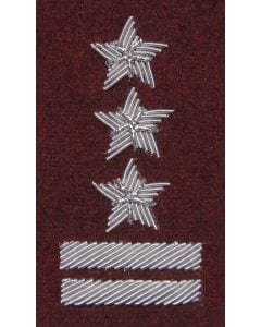 Stopień na beret WP (bordowy / haft bajorkiem) - pułkownik