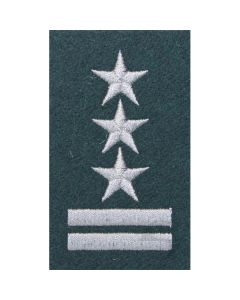 Stopień na beret WP (zielony/haft) - pułkownik