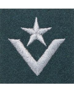 Військове звання на берет Війська Польського - зелений / в – молодший хорунжий