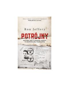 Książka "Potrójny" - Ron Jeffery