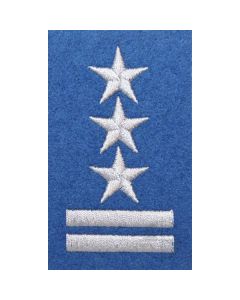Stopień na beret WP (niebieski / haft) - pułkownik
