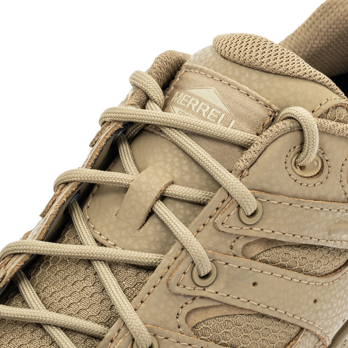 merrell moab coyote