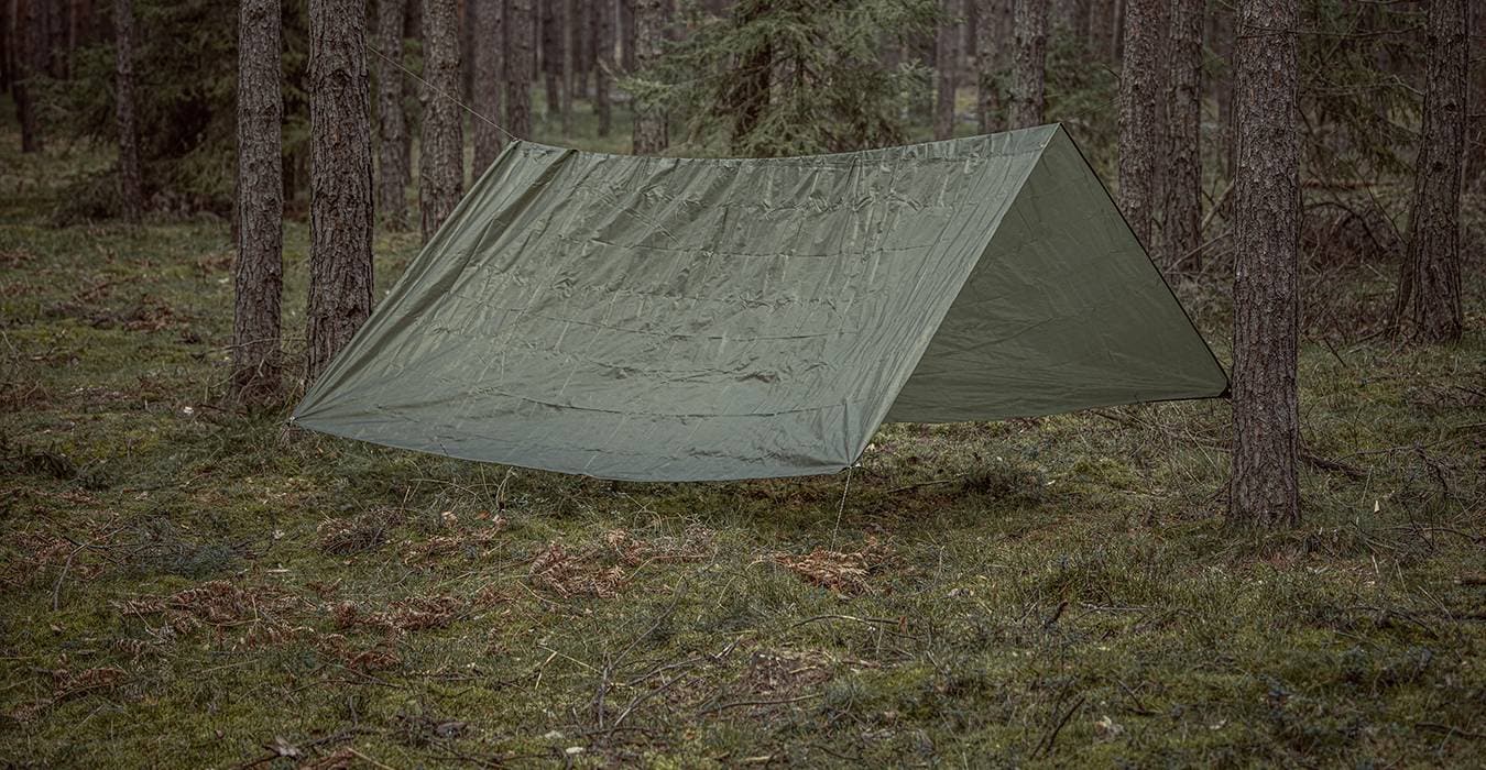 Tarp – czym jest i jaki model wybrać?