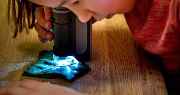 Dobry mikroskop dla początkujących — ranking