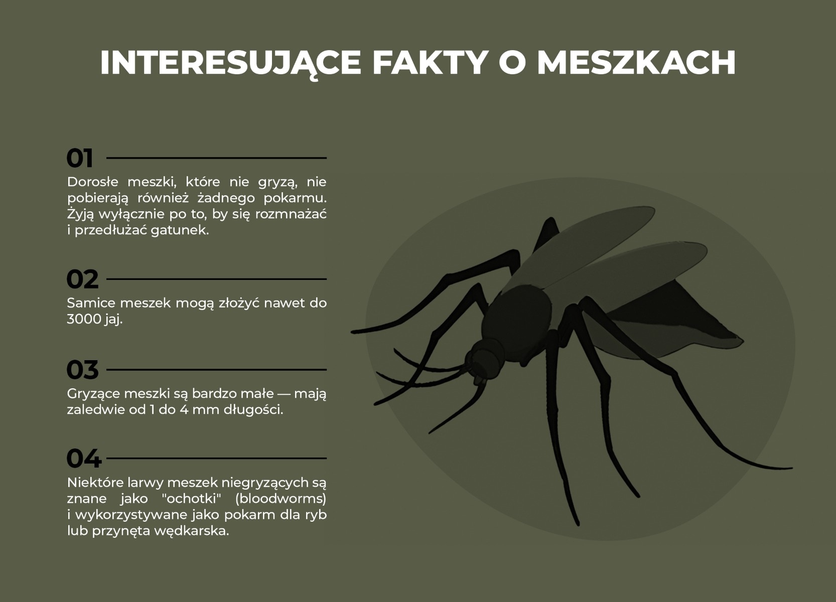 Meszki-infografika